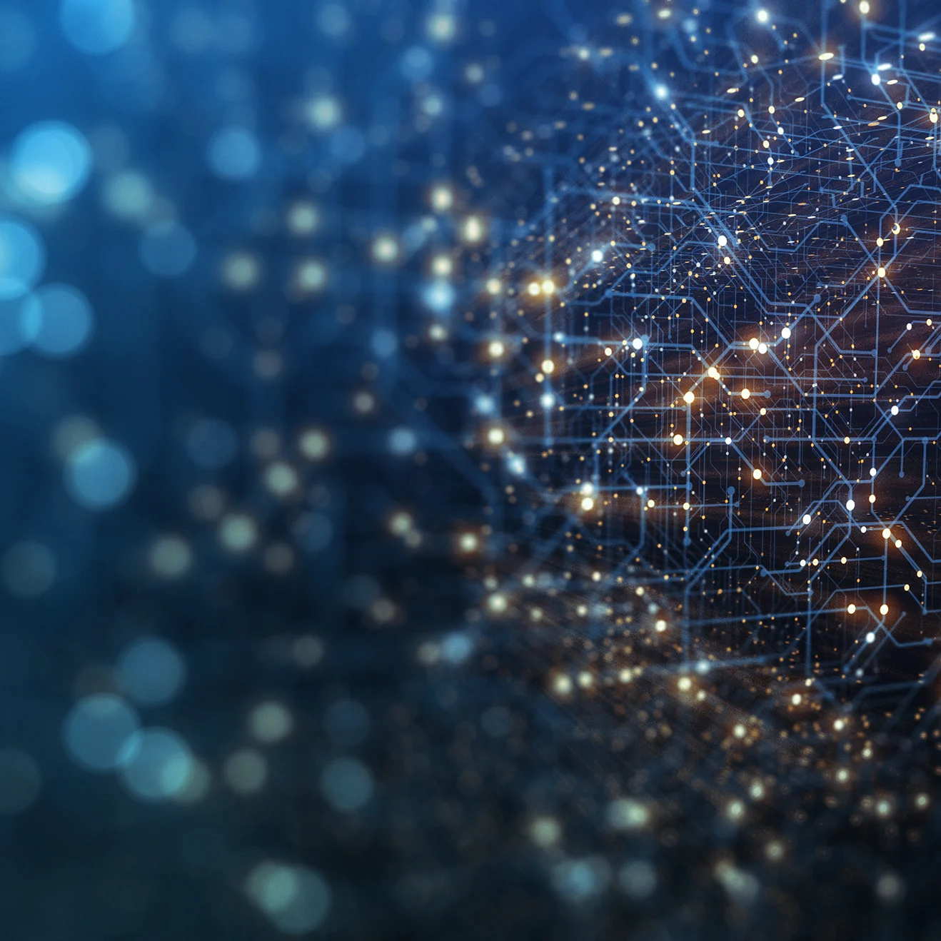 AdobeStock_322782977 copy